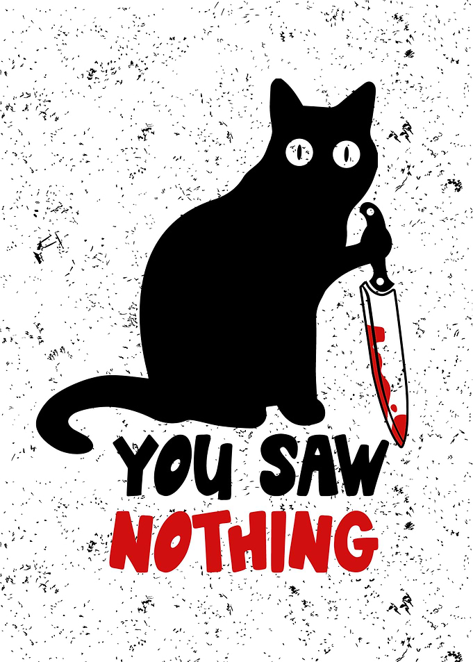 You Saw Nothing Black Cat