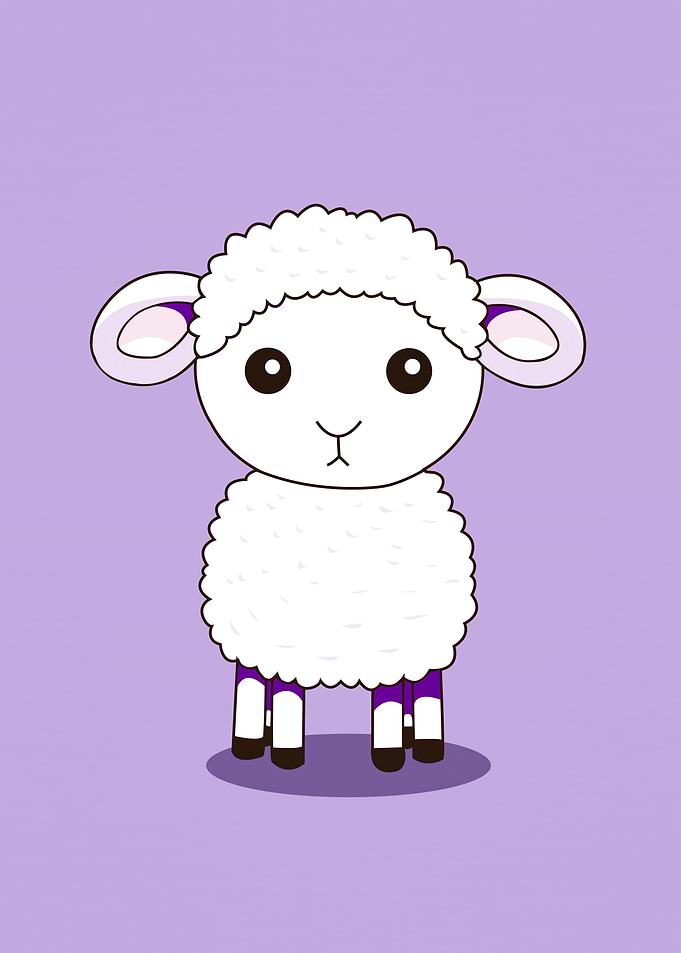 sheep cute animal