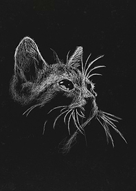 Cat Art