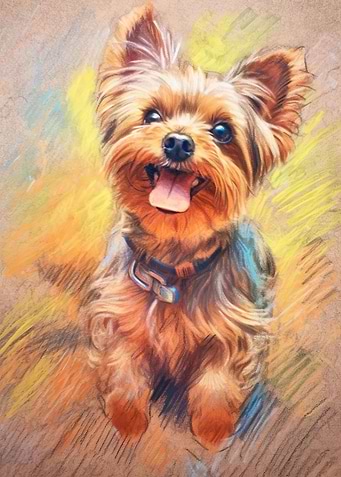 Yorkshire Terrier Sketch