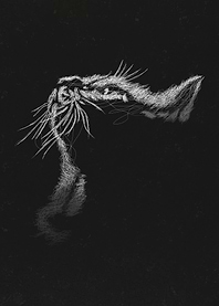 Cat Art