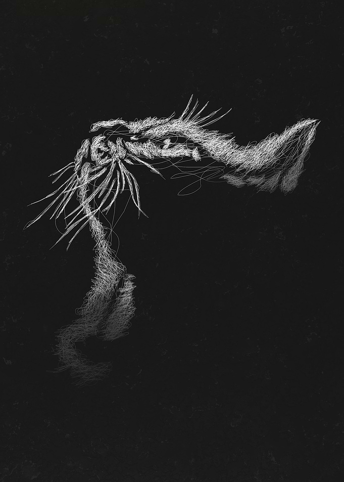 Cat Art