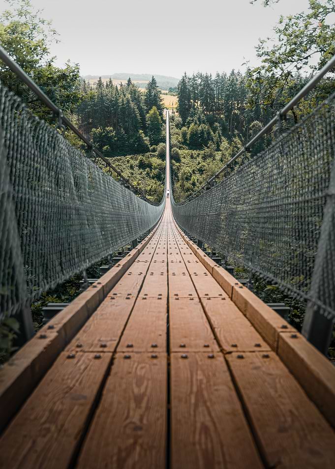 Geierlay Suspension Bridge