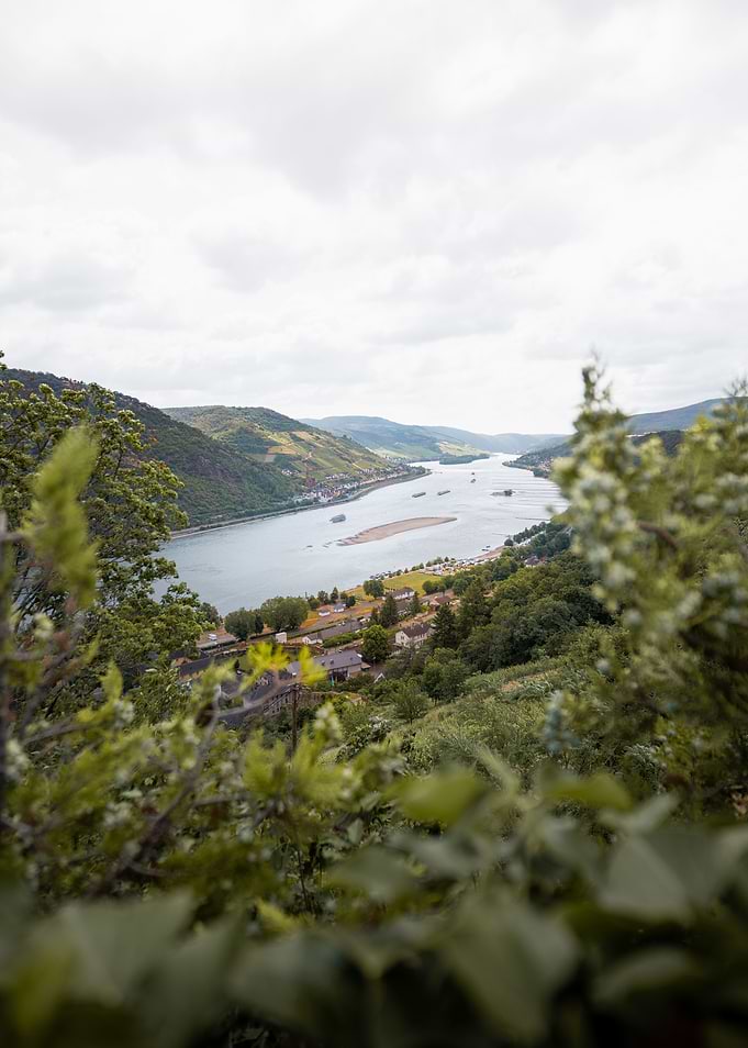 Rhine River in Germany