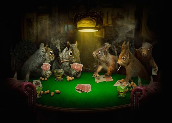 Animal Playing Card