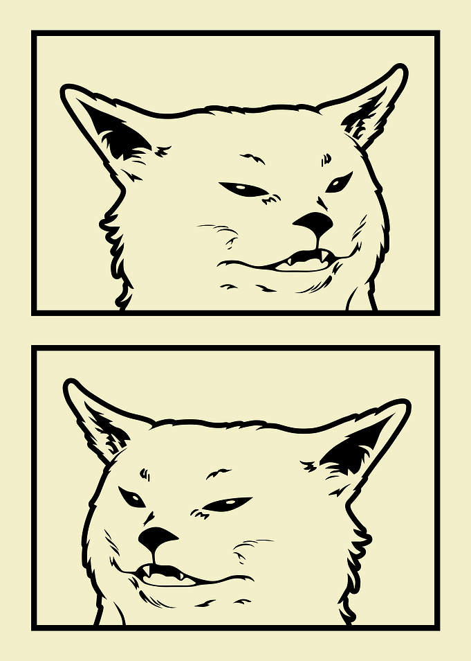 Woman Yelling at a Cat 2