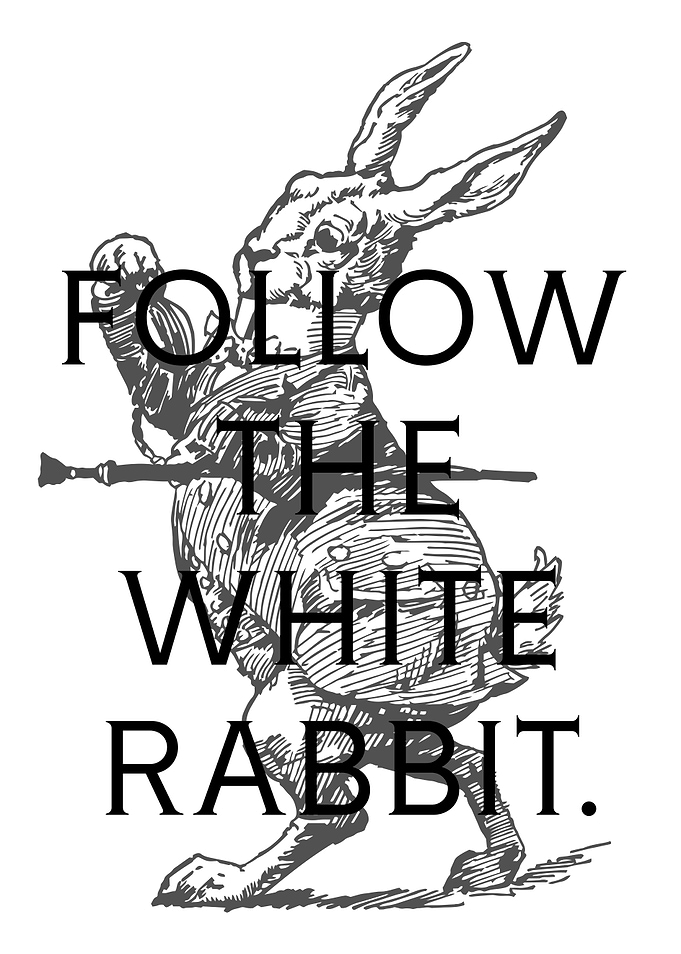 Follow the White Rabbit