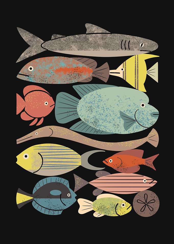 Fish Crowd No 2