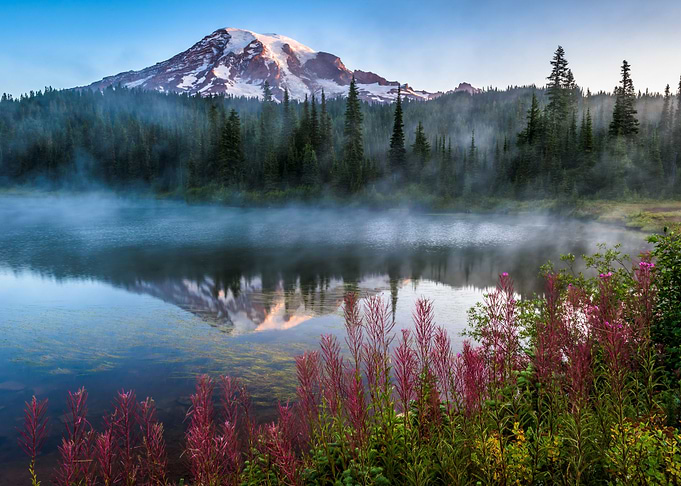 Mountain landscape forest