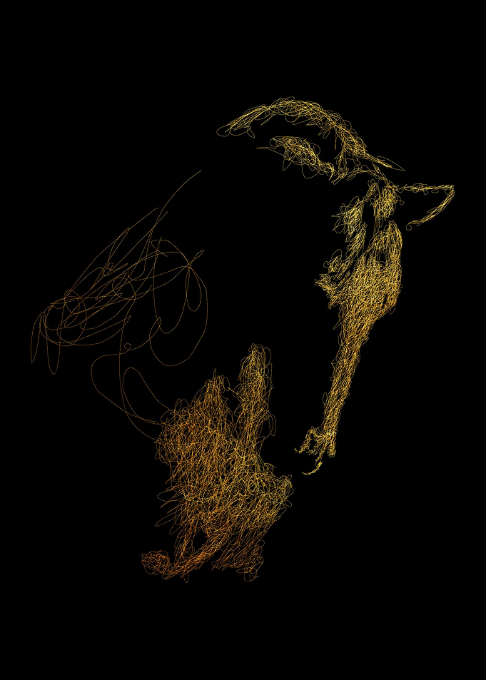 Horse art