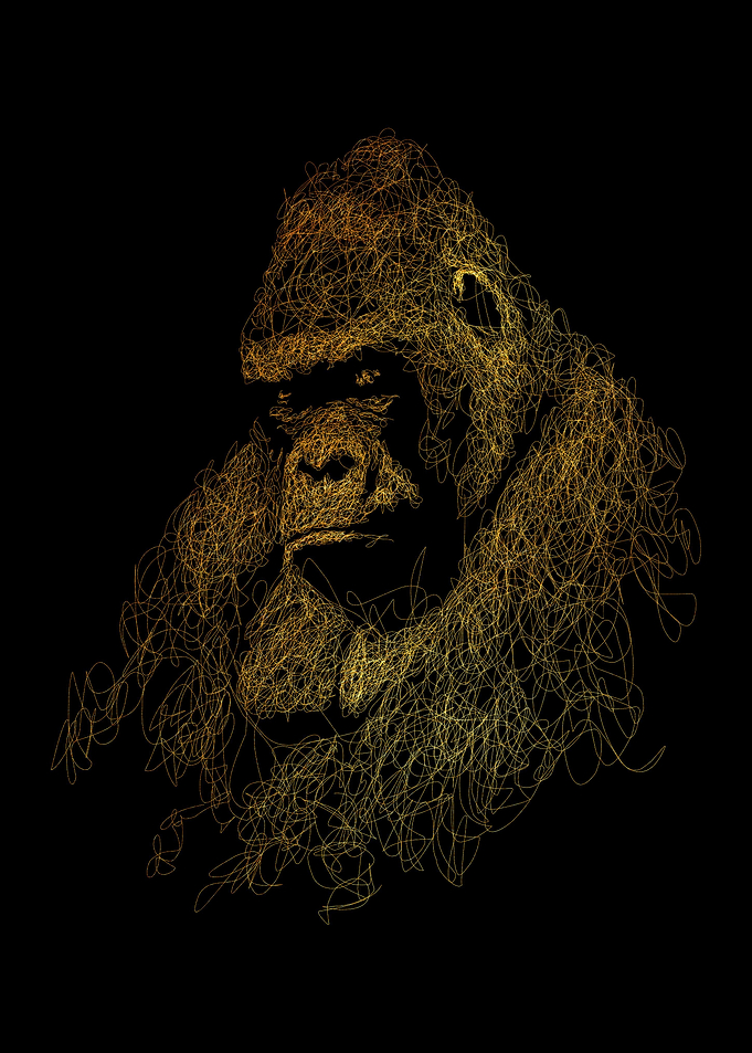 King kong
