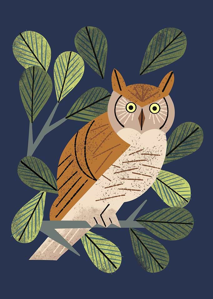 Perching Owl