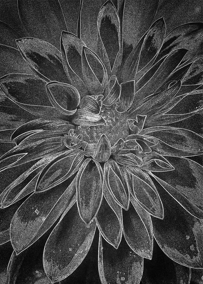 Flower Chalk Art
