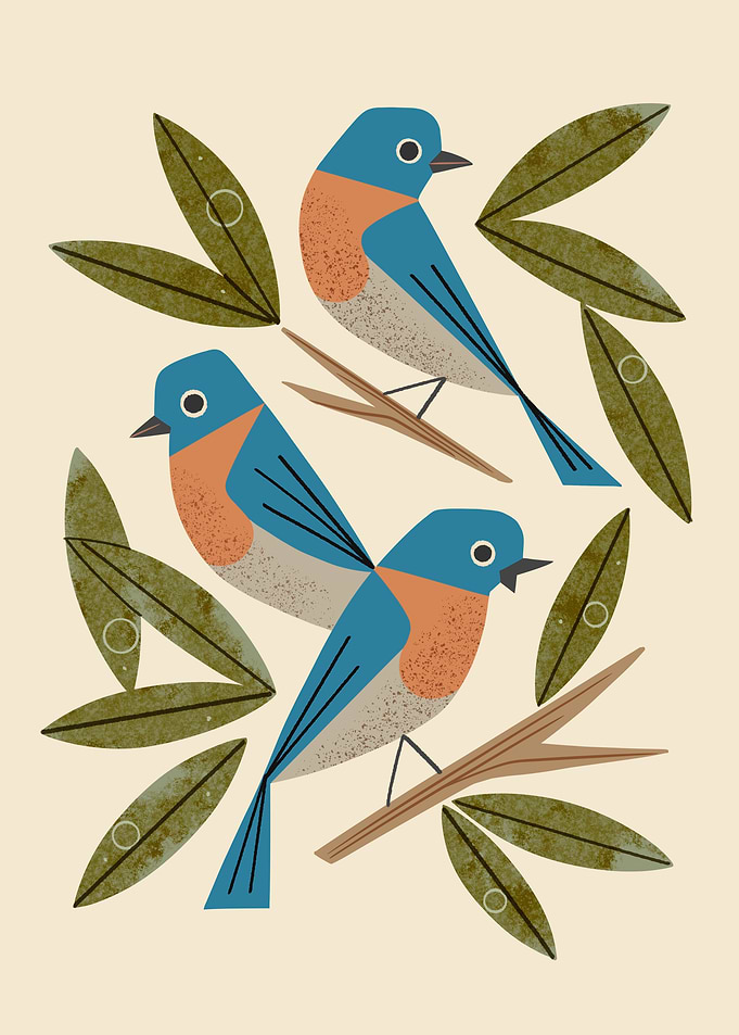 Bluebirds