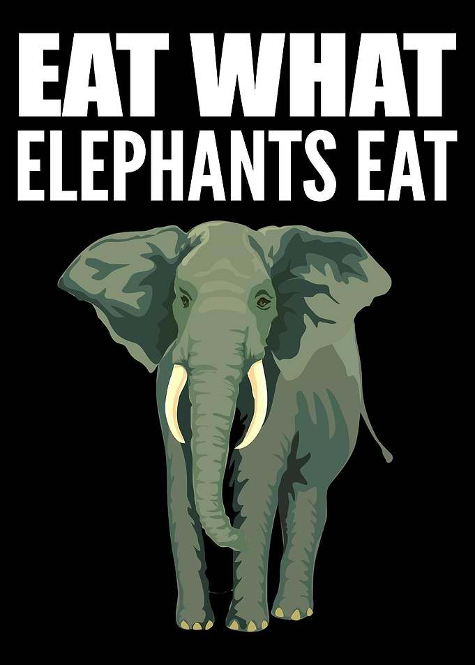 Elephants Eat Animal Advoc