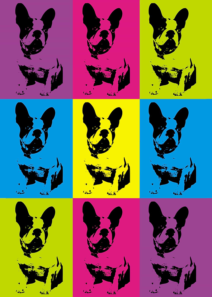 French Bulldog Pop Art