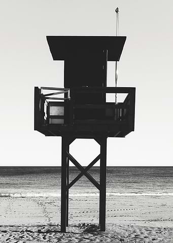 Bay Watch