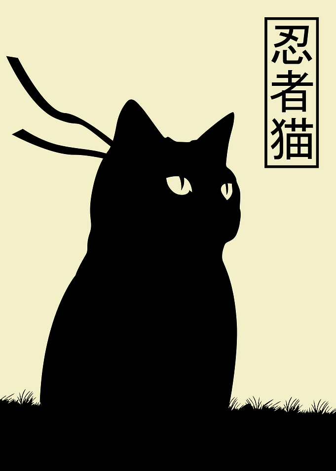 Ninja cat