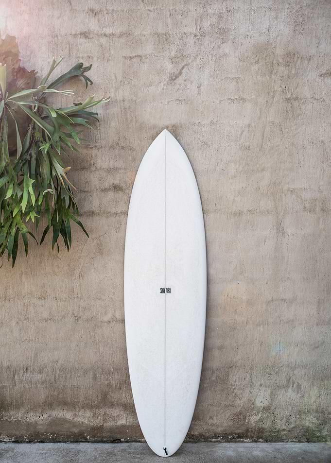 Safari Twinfin