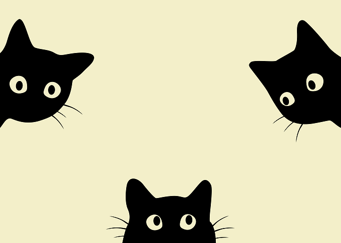 Three Black Kittens