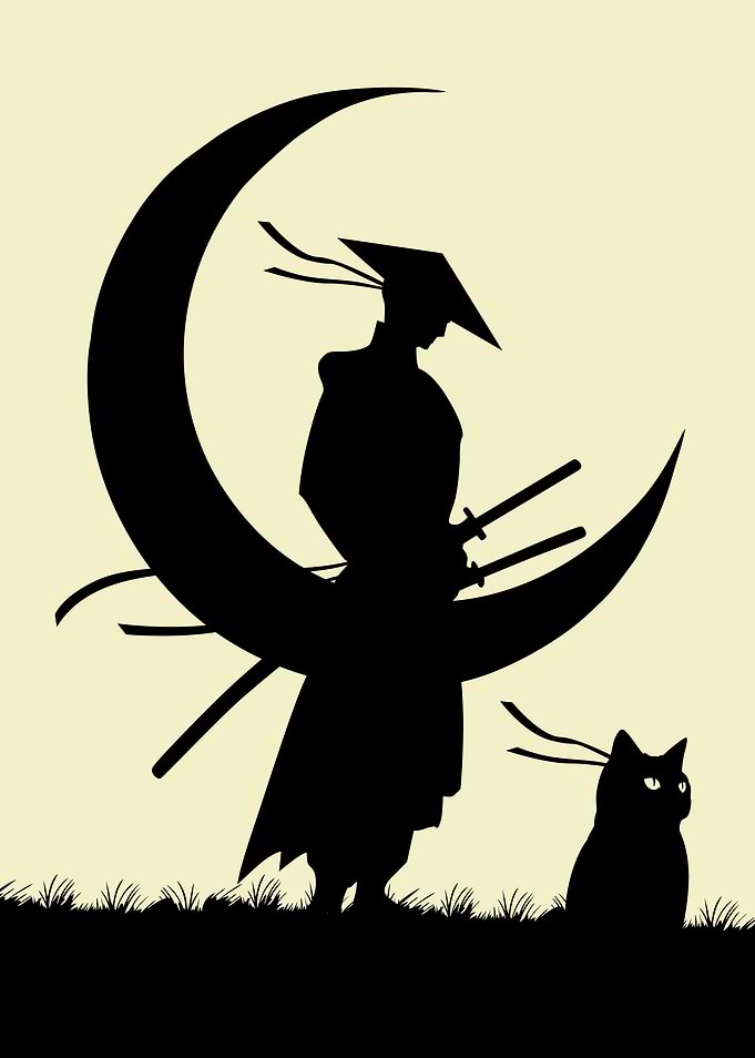 Samurai Pet Cat