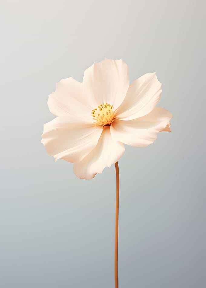 Single Flower