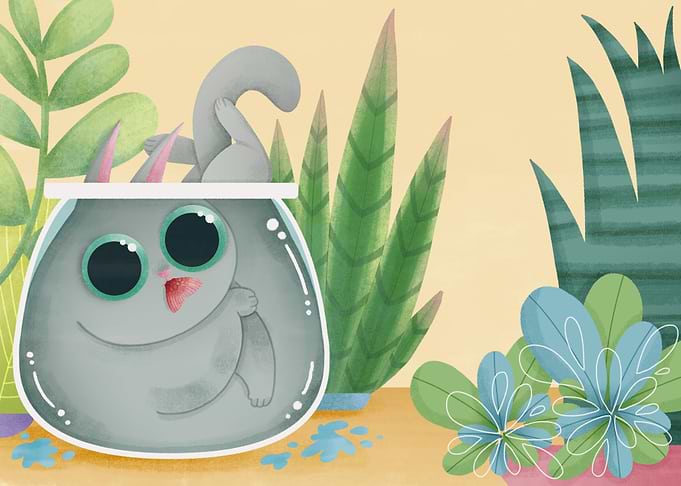 cat in a bowl