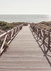 Boardwalk