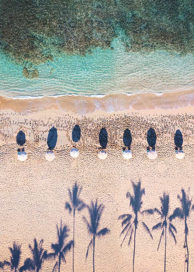 Beach and palms Hawaii