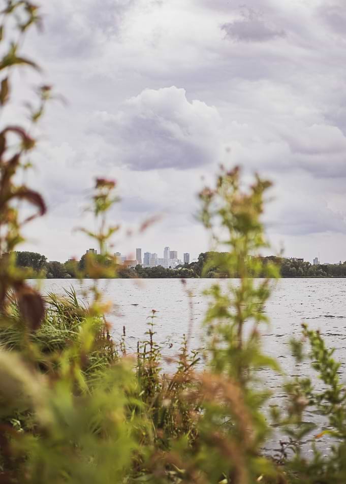 Cityscape