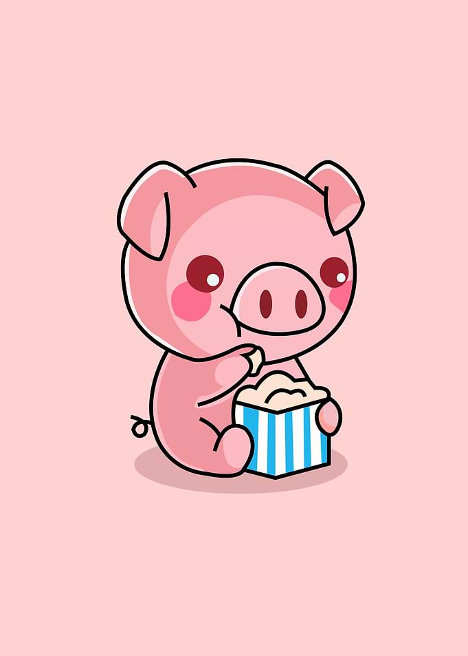 Baby Pig Cute