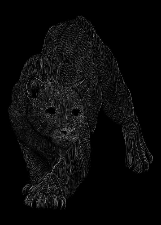 034 MountainLion