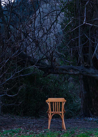 Chair Branches Tree imag