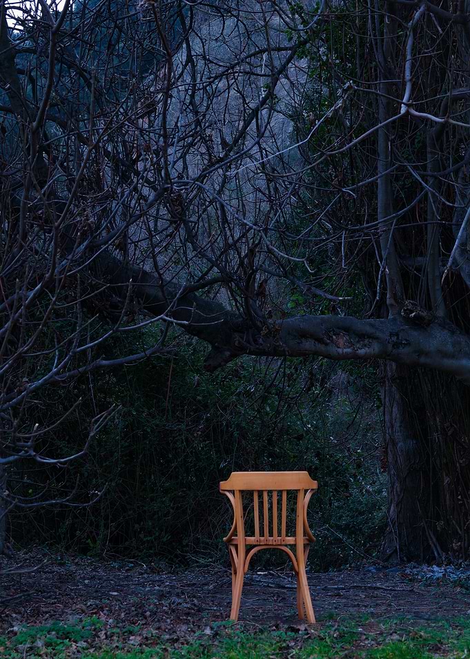 Chair Branches Tree imag