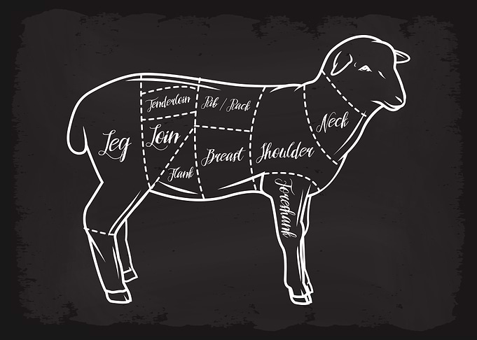 Butcher Cuts of Lamb