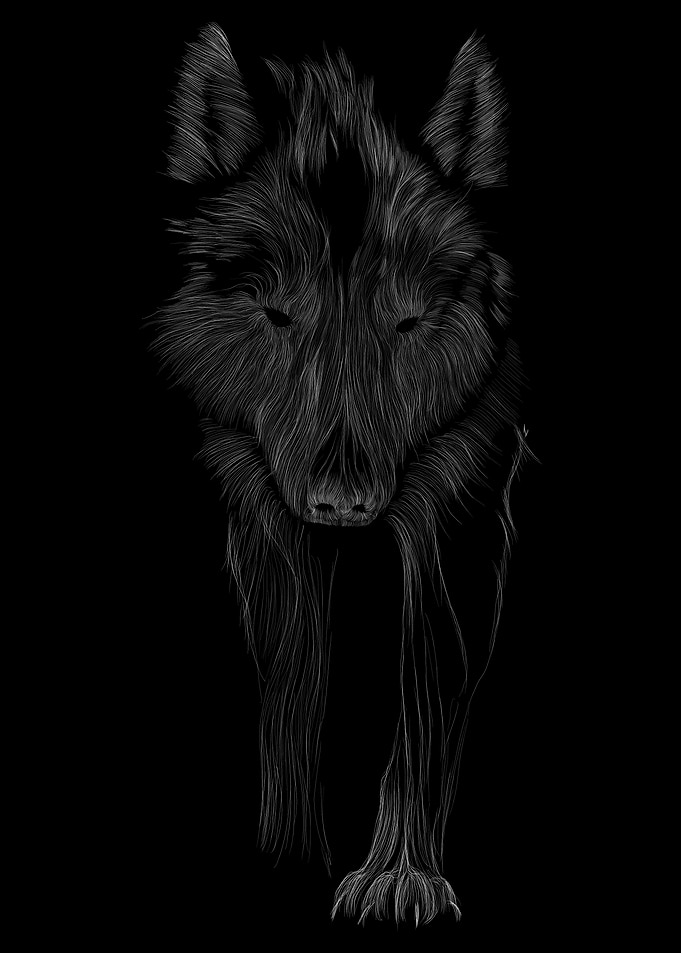 041Wolf