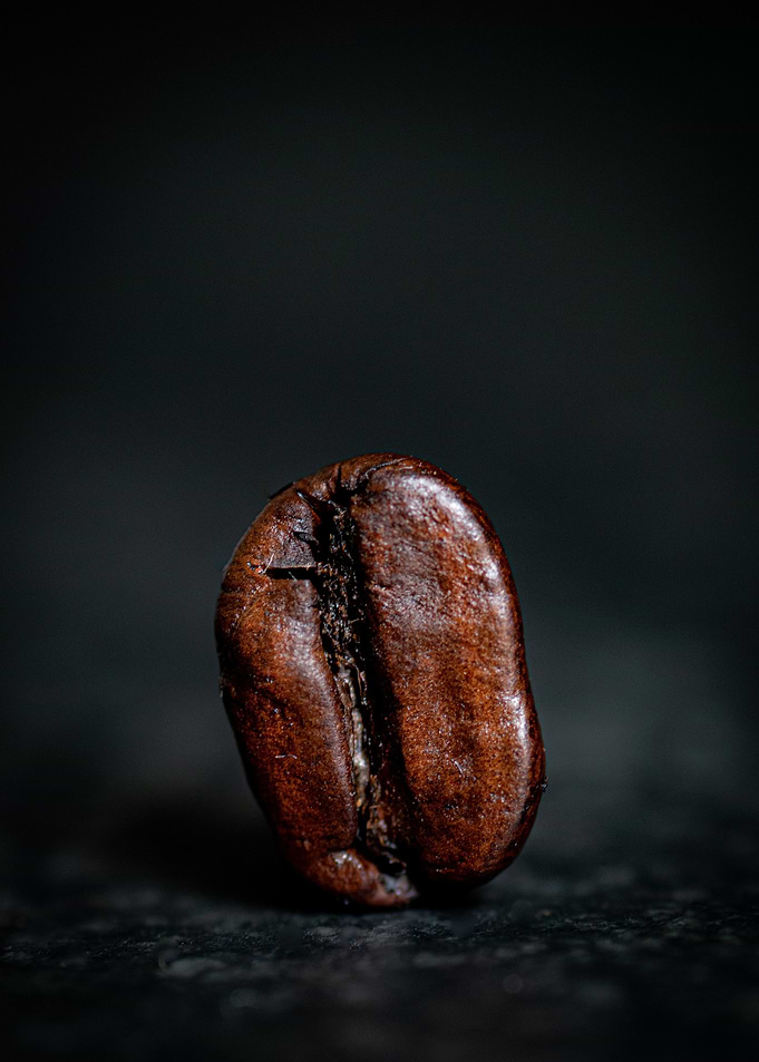 Brown Seed