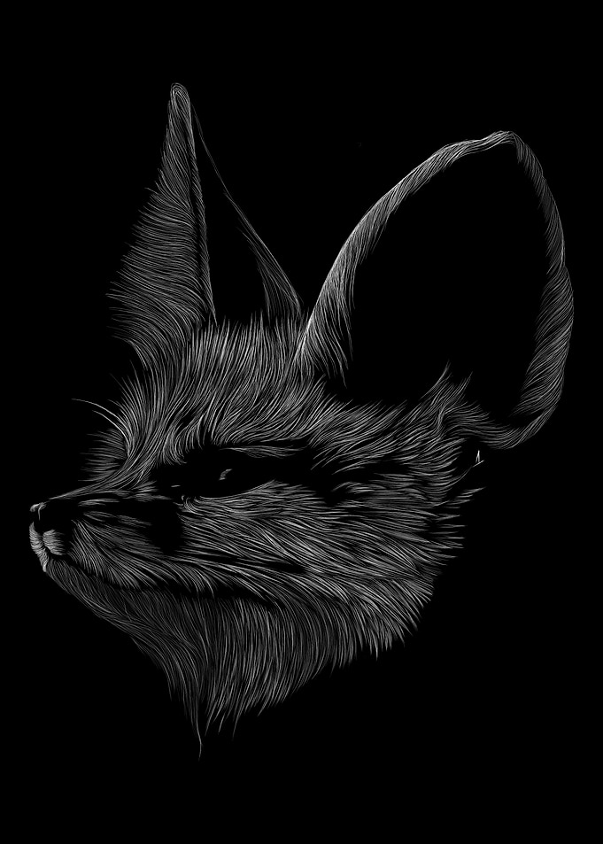 025 Fox