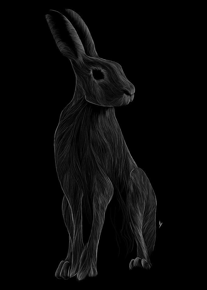 013 Rabbit