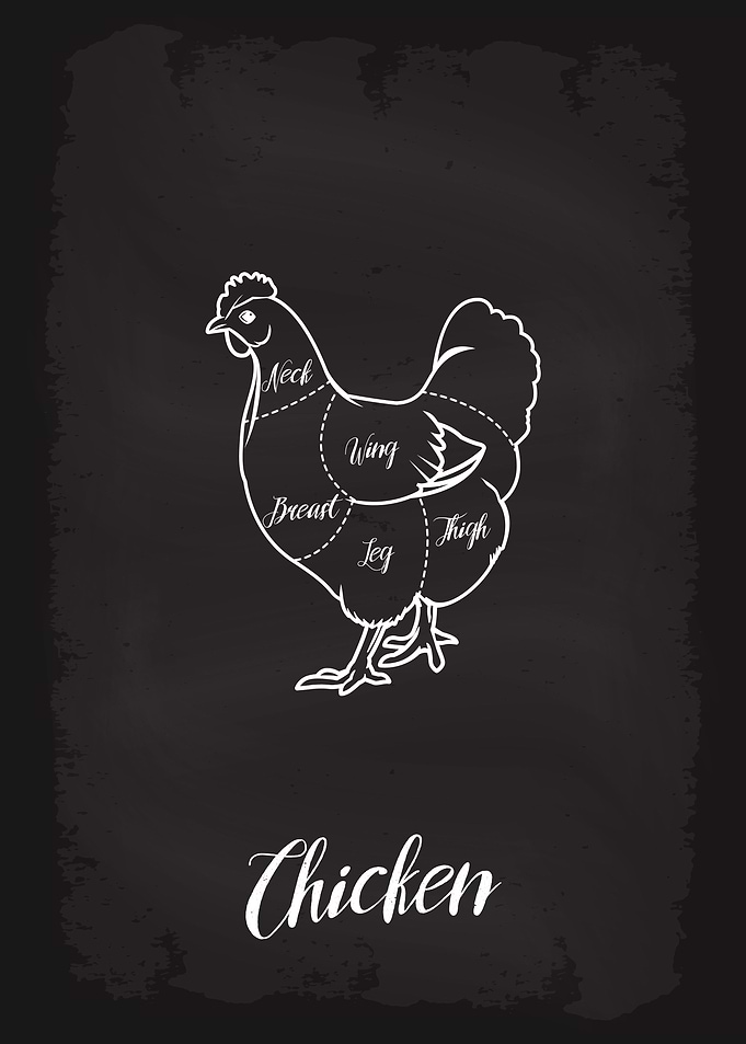 Butcher Cuts of Chicken