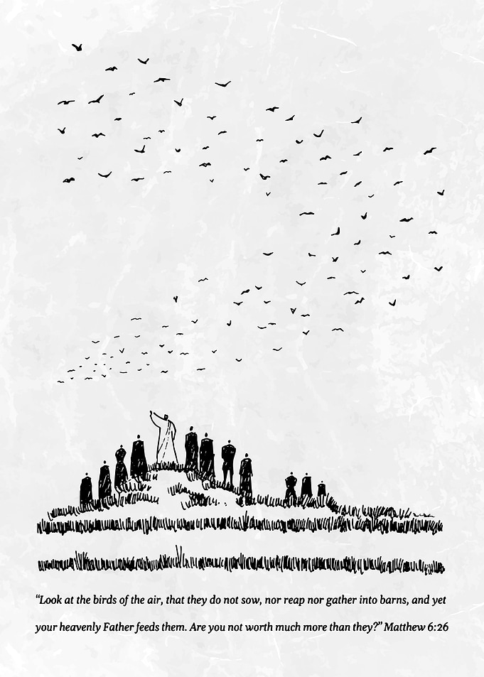 Look at the Birds