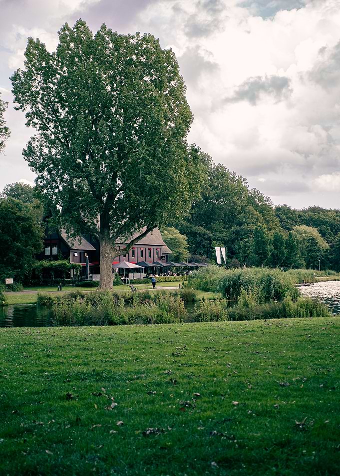 Moody Park