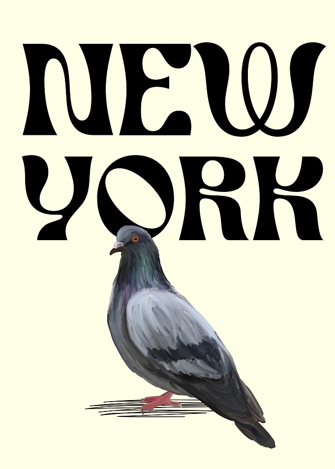 New York pigeon