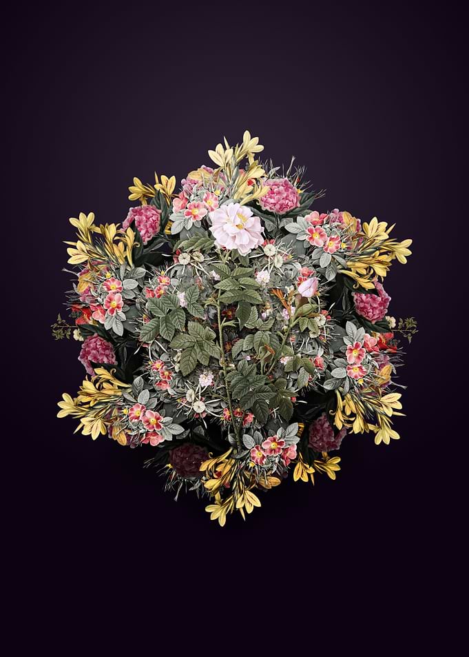 Pink Rosebush Wreath