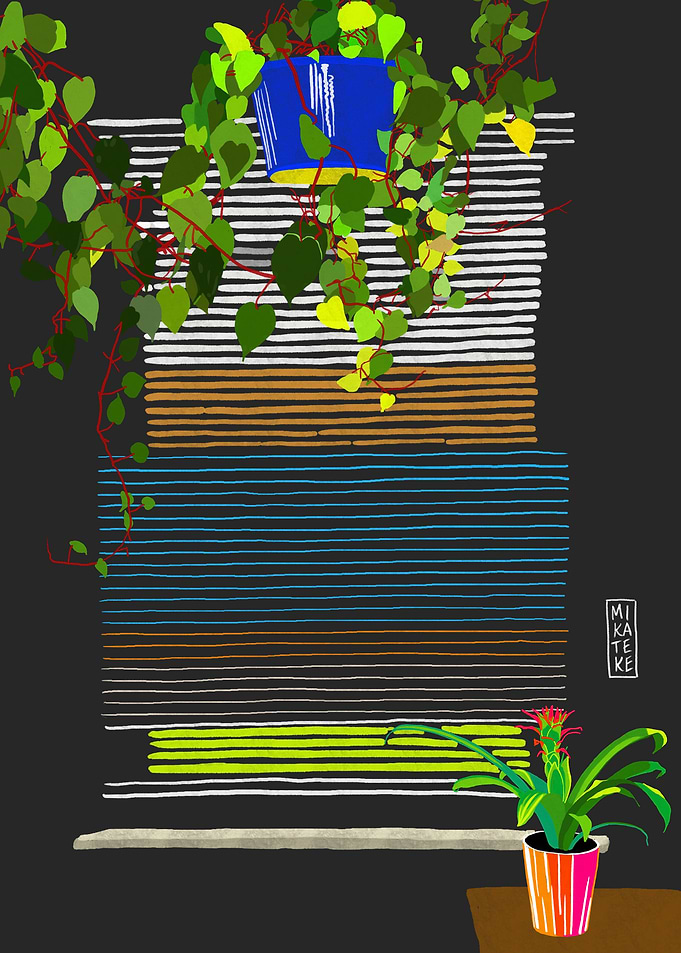 Plants By Window