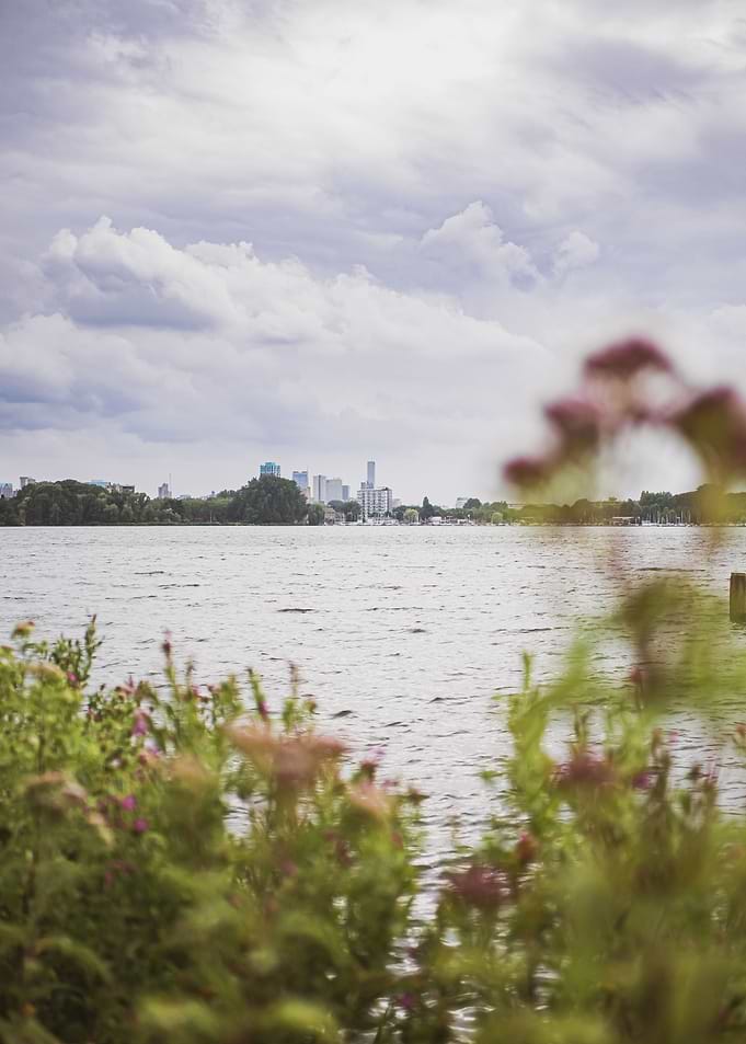 Rotterdam Cityscape