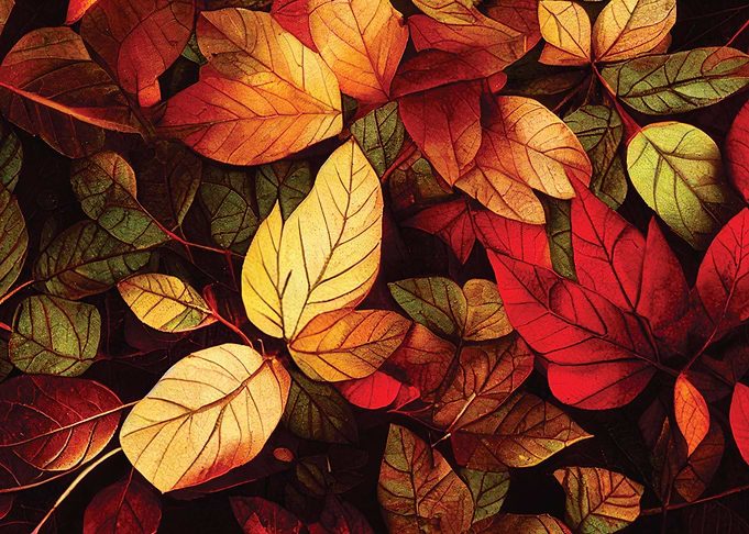 Leaves Autumn Fall royalty