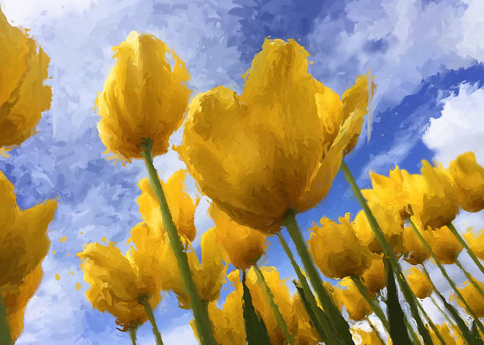 beatiful flower