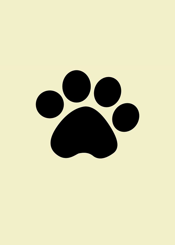 Cat Paws White