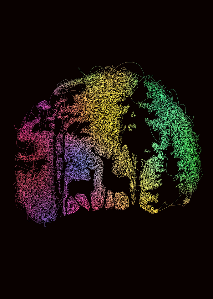 Rusa Colorful